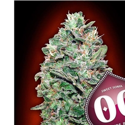 Sweet Soma 5 ud. - Imagen 1