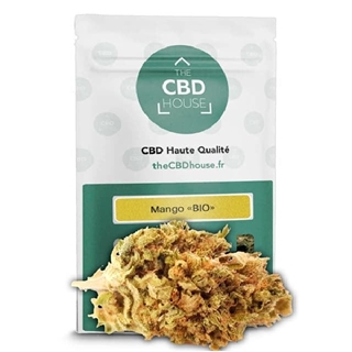 Mango Bio 1g - Imagen 1